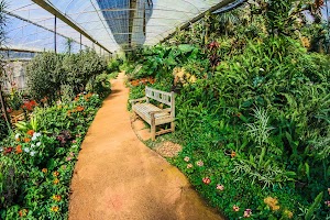 Essential Gardening Tips in Winter to Grow More